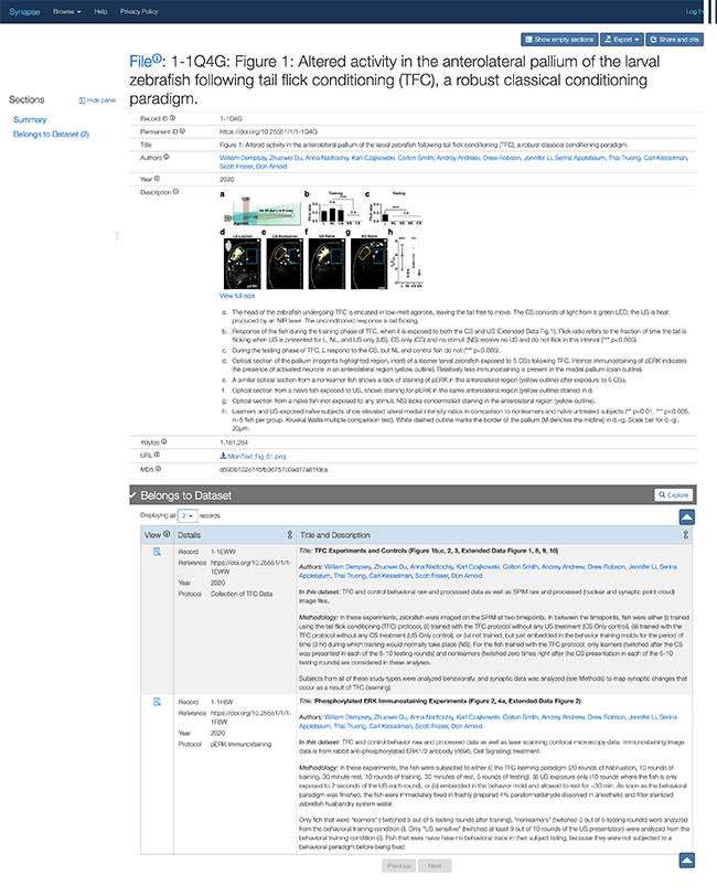 Detail page of the Synapse Browser