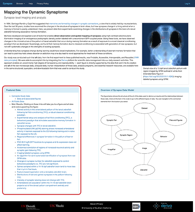 Featured Images section of the Synapse homepage