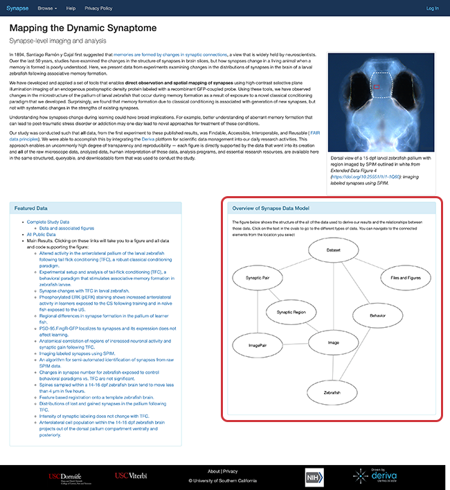 Over of Synapse Data Model on the homepage